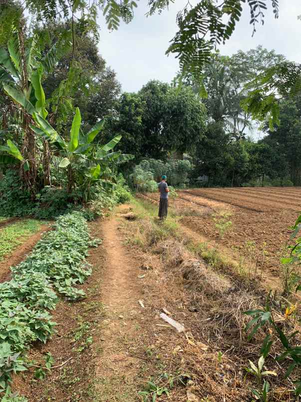dijual tanah dijual tanah di cimanggu 2