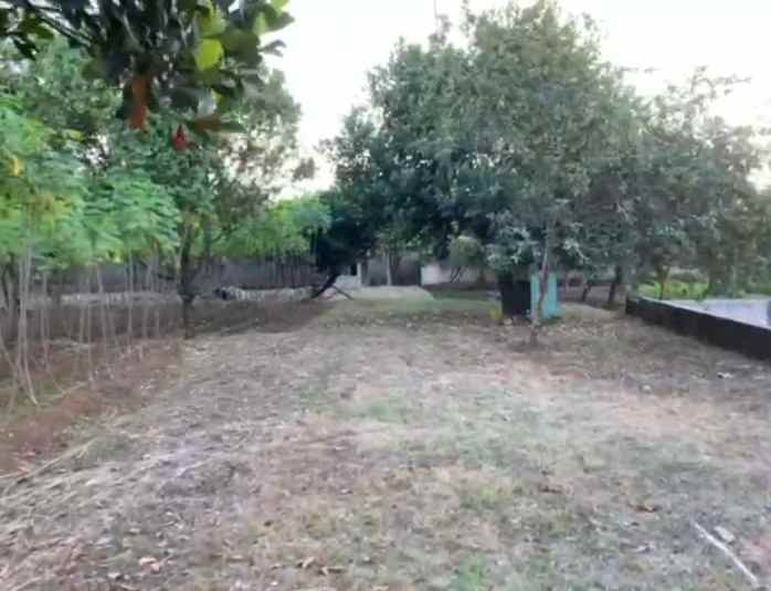 dijual tanah dijual tanah di cimanggu 2