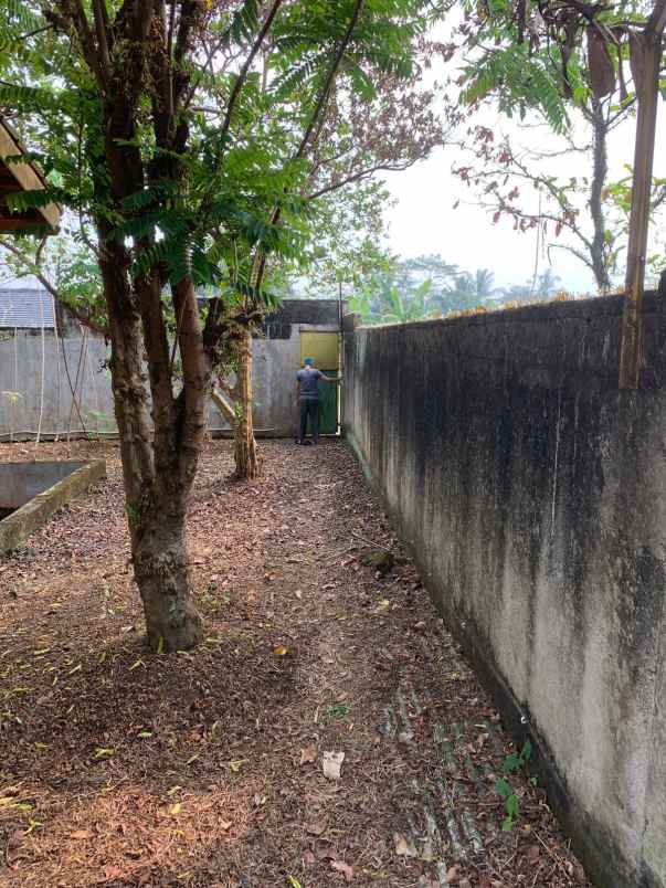 dijual tanah dijual tanah di cimanggu 2