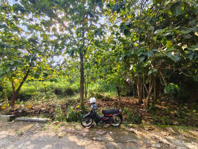 dijual tanah dijual tanah di daherah