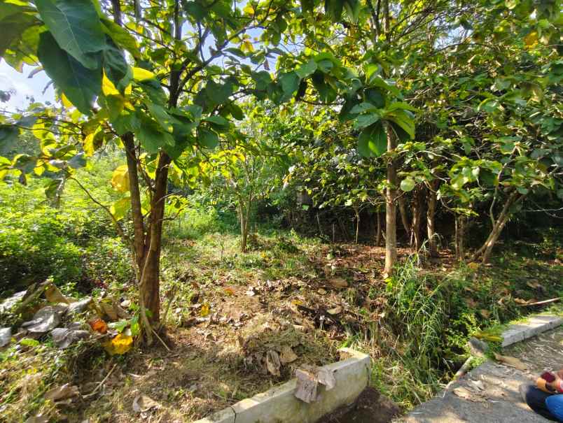 dijual tanah dijual tanah di daherah
