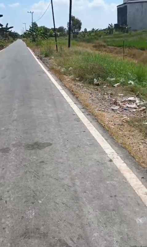 dijual tanah dijual tanah di desa