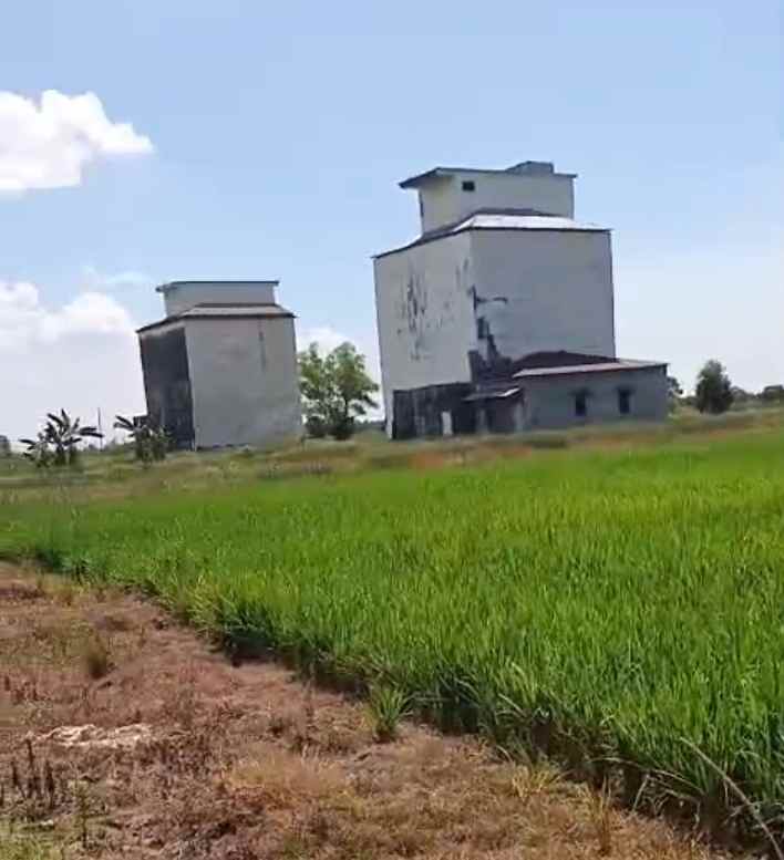 dijual tanah dijual tanah di desa