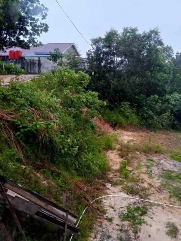 dijual tanah dijual tanah di jl prona 3