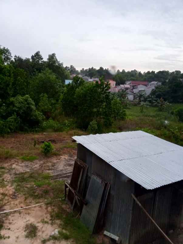dijual tanah dijual tanah di jl prona 3