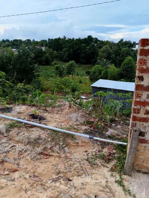dijual tanah dijual tanah di jl prona 3