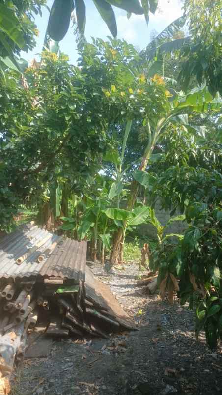 dijual tanah dijual tanah di margorejo