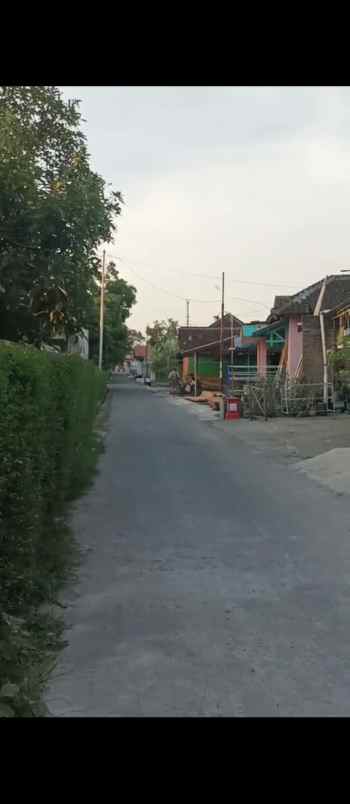 dijual tanah dijual tanah di margorejo