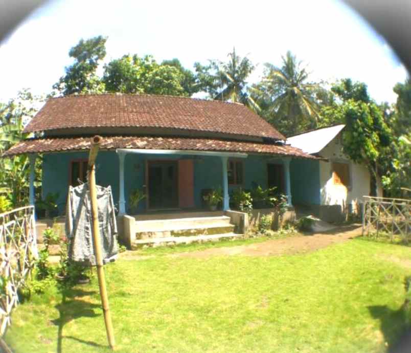 dijual tanah dusun jeti desa butun