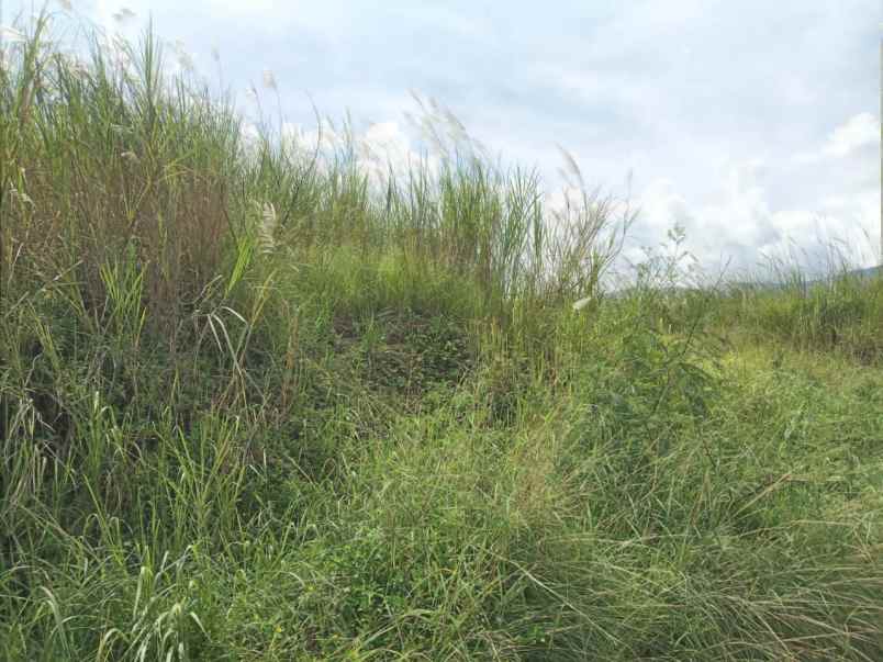 dijual tanah girimekar