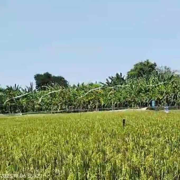 dijual tanah gn soputan