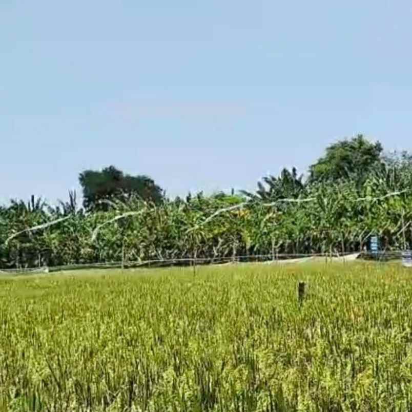 dijual tanah gn soputan