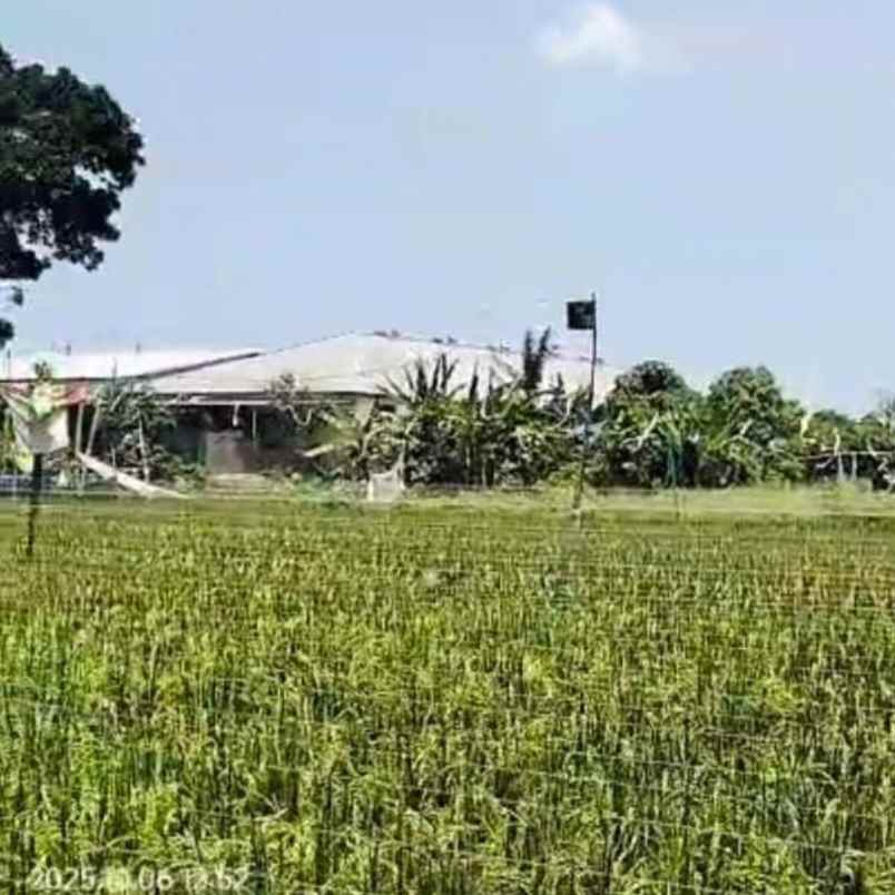 dijual tanah gn soputan