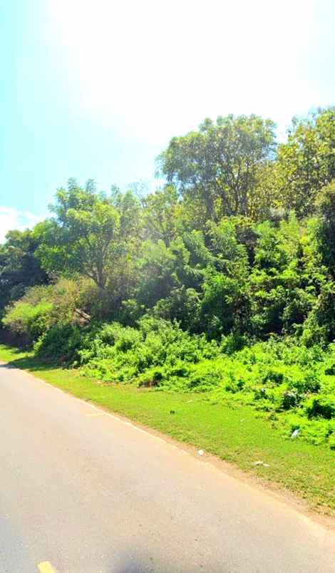 dijual tanah jalan lintas sumbawa tano