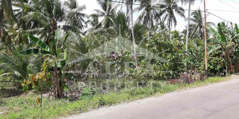 dijual tanah jalan mempawah