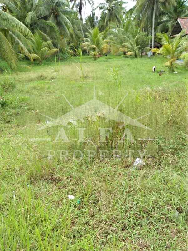 dijual tanah jalan mempawah