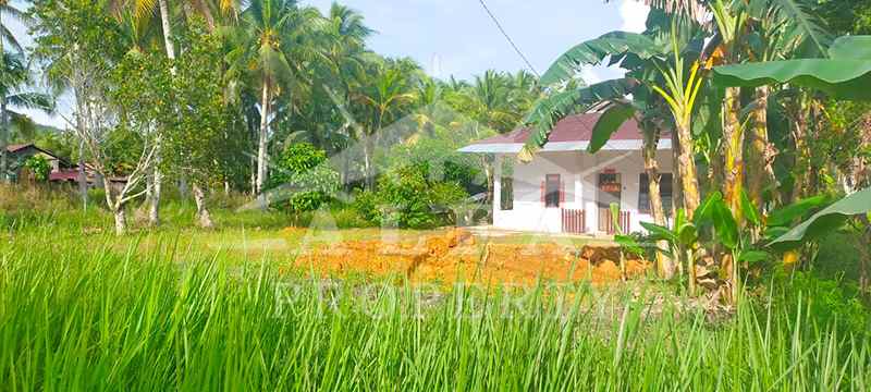 dijual tanah jalan mempawah