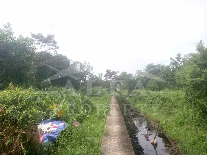dijual tanah jalan perdana