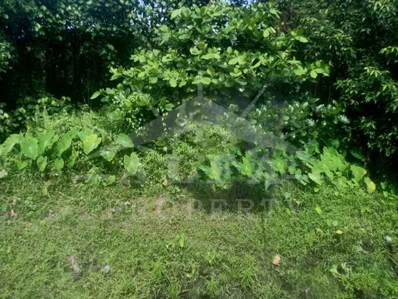 dijual tanah jalan perdana