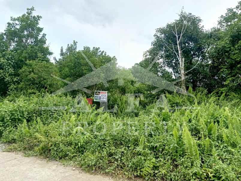 dijual tanah jalan perdana