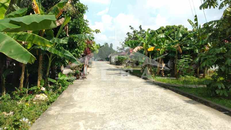 dijual tanah jalan perintis