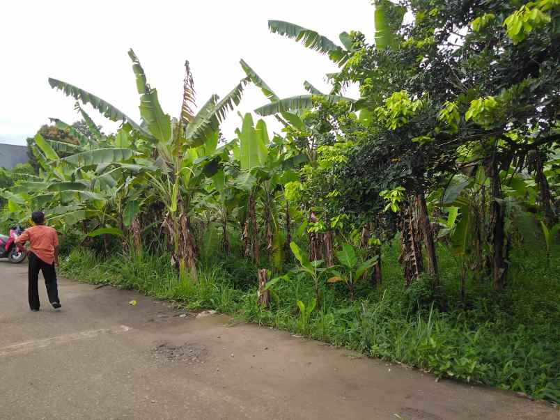 dijual tanah jalan raya arco pengasinan