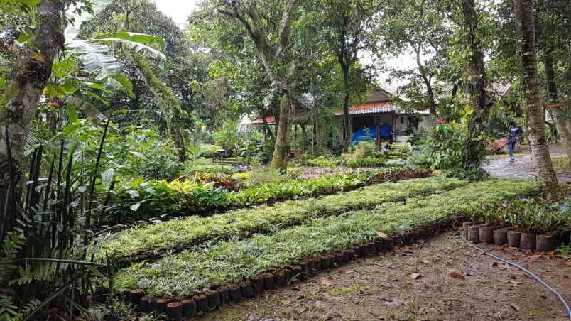 dijual tanah jalan raya arco tajur halang