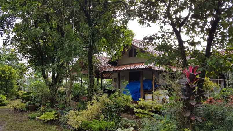 dijual tanah jalan raya arco tajur halang