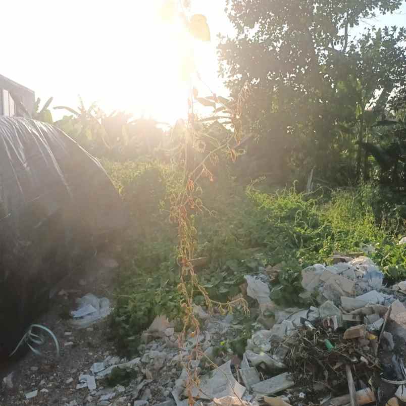 dijual tanah jl batan celagi