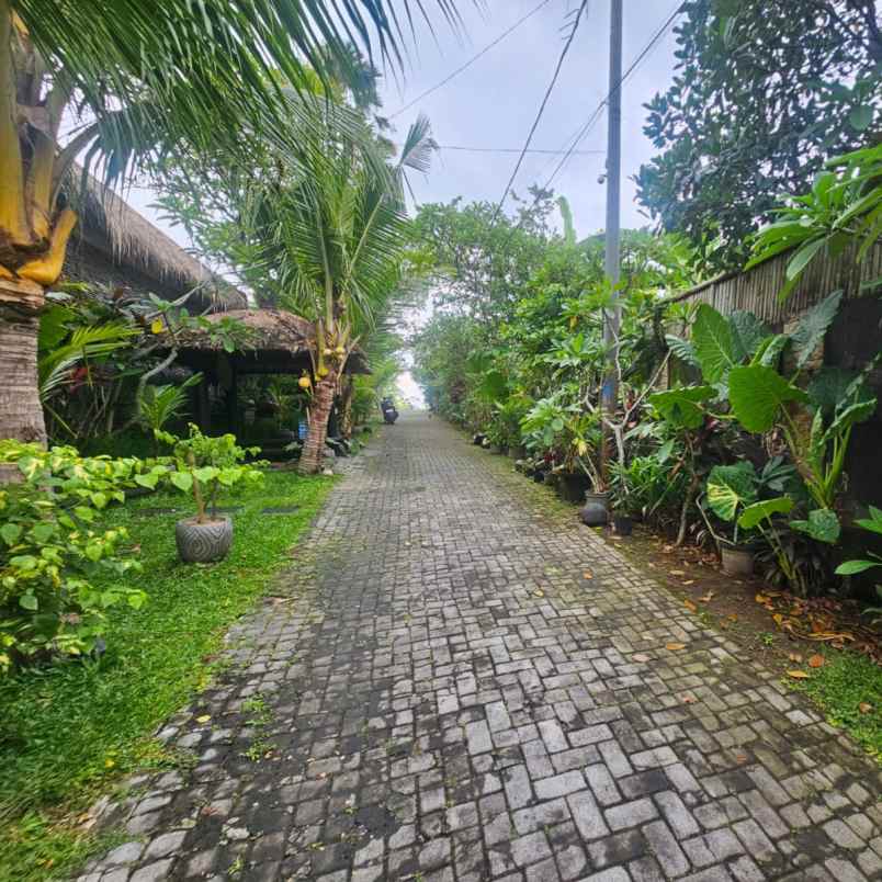 dijual tanah jl beringin