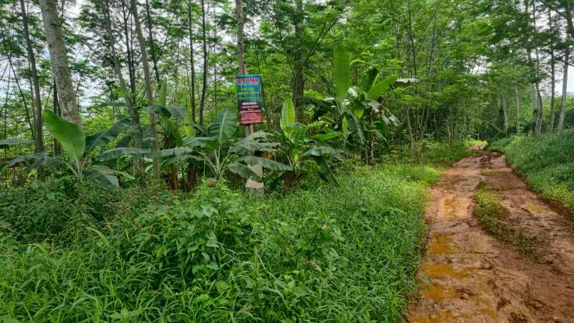 dijual tanah jl diponegoro gandarum