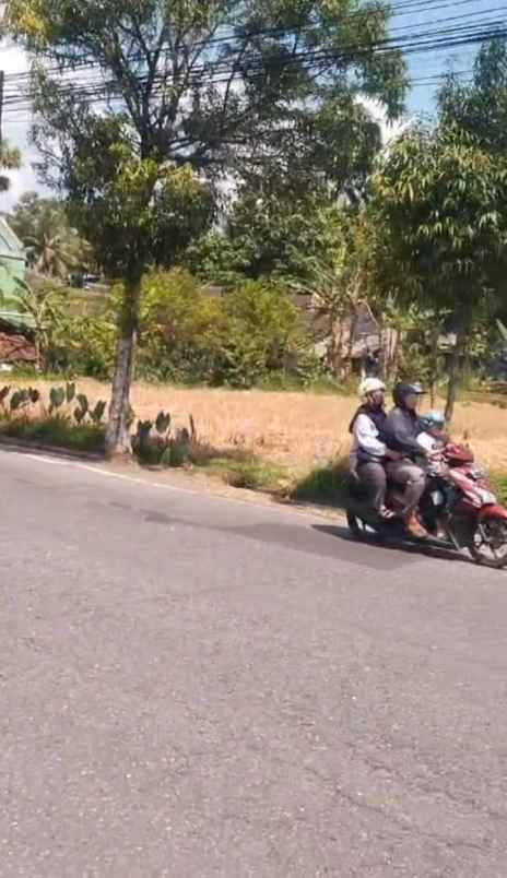 dijual tanah jl kaliurang km 19 sleman