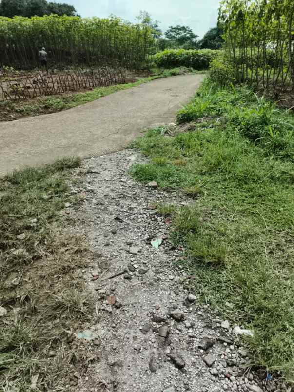 dijual tanah jl karadenan