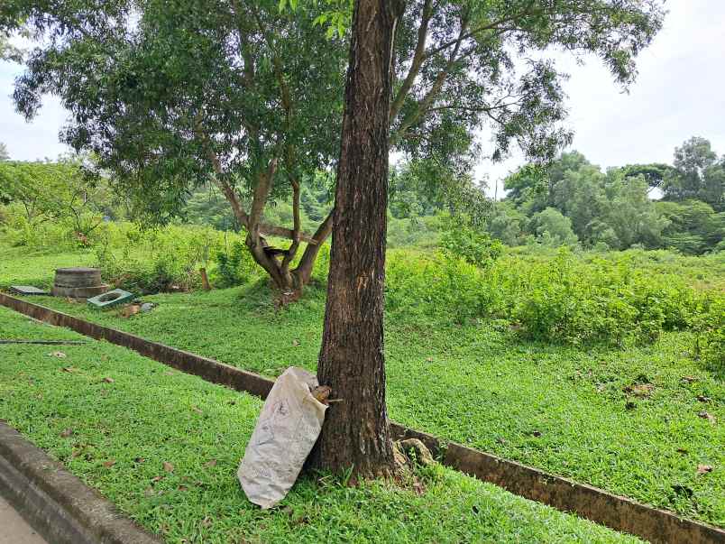 dijual tanah jl kenari jaya