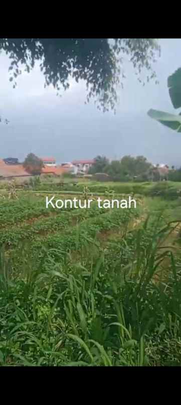 dijual tanah jl permana citeureup
