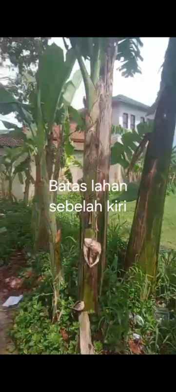 dijual tanah jl permana citeureup