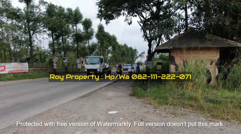 dijual tanah jl raya bojonegara serdang