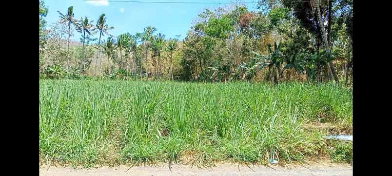 dijual tanah jl raya kedungwungu binangun