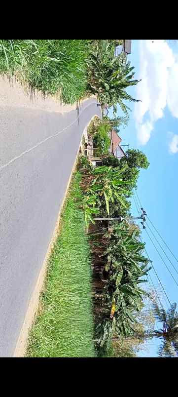 dijual tanah jl raya kedungwungu binangun