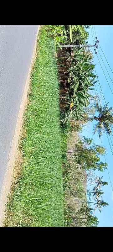 dijual tanah jl raya kedungwungu binangun