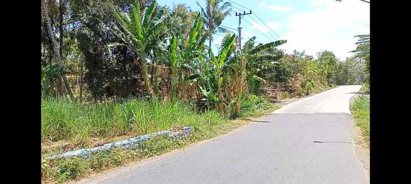 dijual tanah jl raya kedungwungu binangun