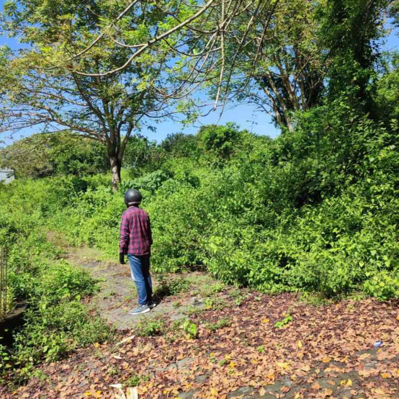 dijual tanah jl siligita nusa dua