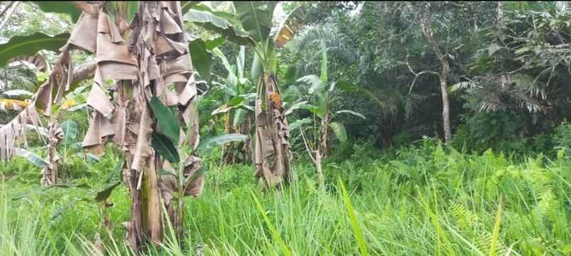 dijual tanah jl soekarno hatta