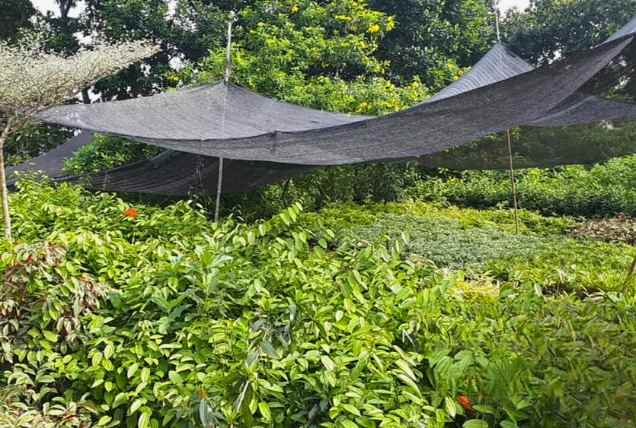 dijual tanah jln arco raya