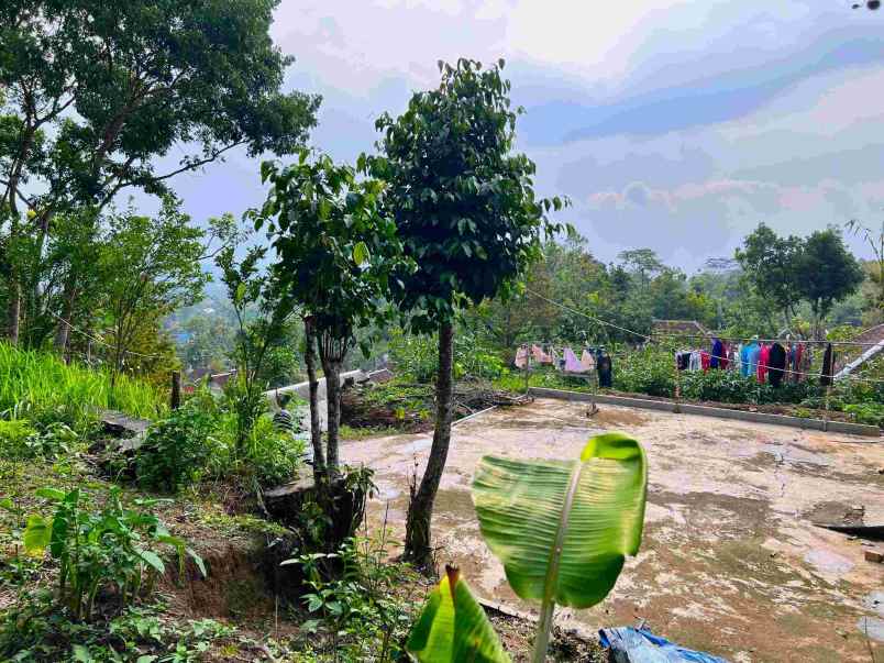 dijual tanah karangpandan karanganyar