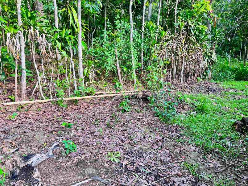 dijual tanah karangpandan karanganyar