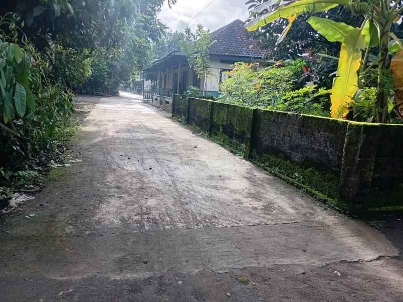 dijual tanah kopi gamol