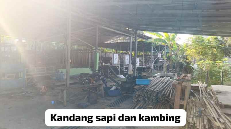 dijual tanah kp buwek raya rt 002 rw