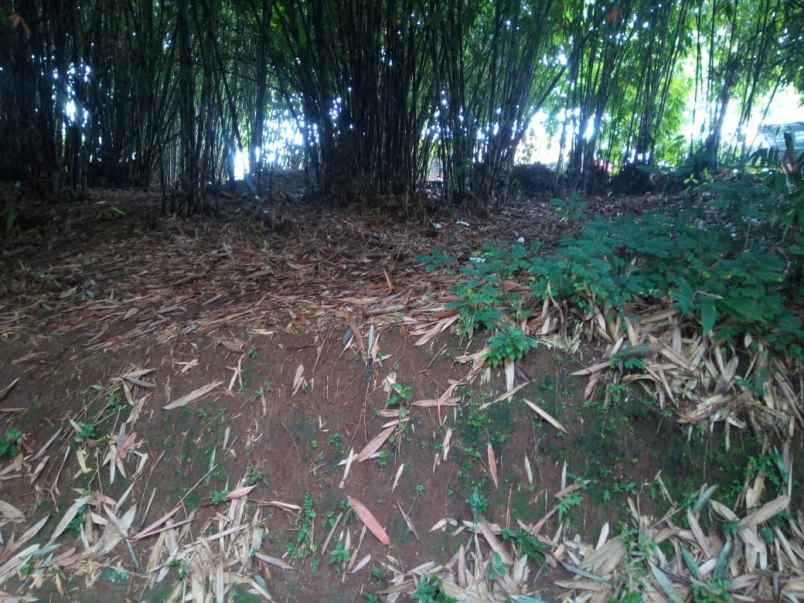 2720 M2 68 Patok Kebun Bambu Hook Di Desa Rende Cikalong Wetan