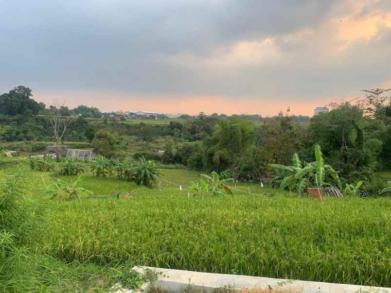 dijual tanah luas murah